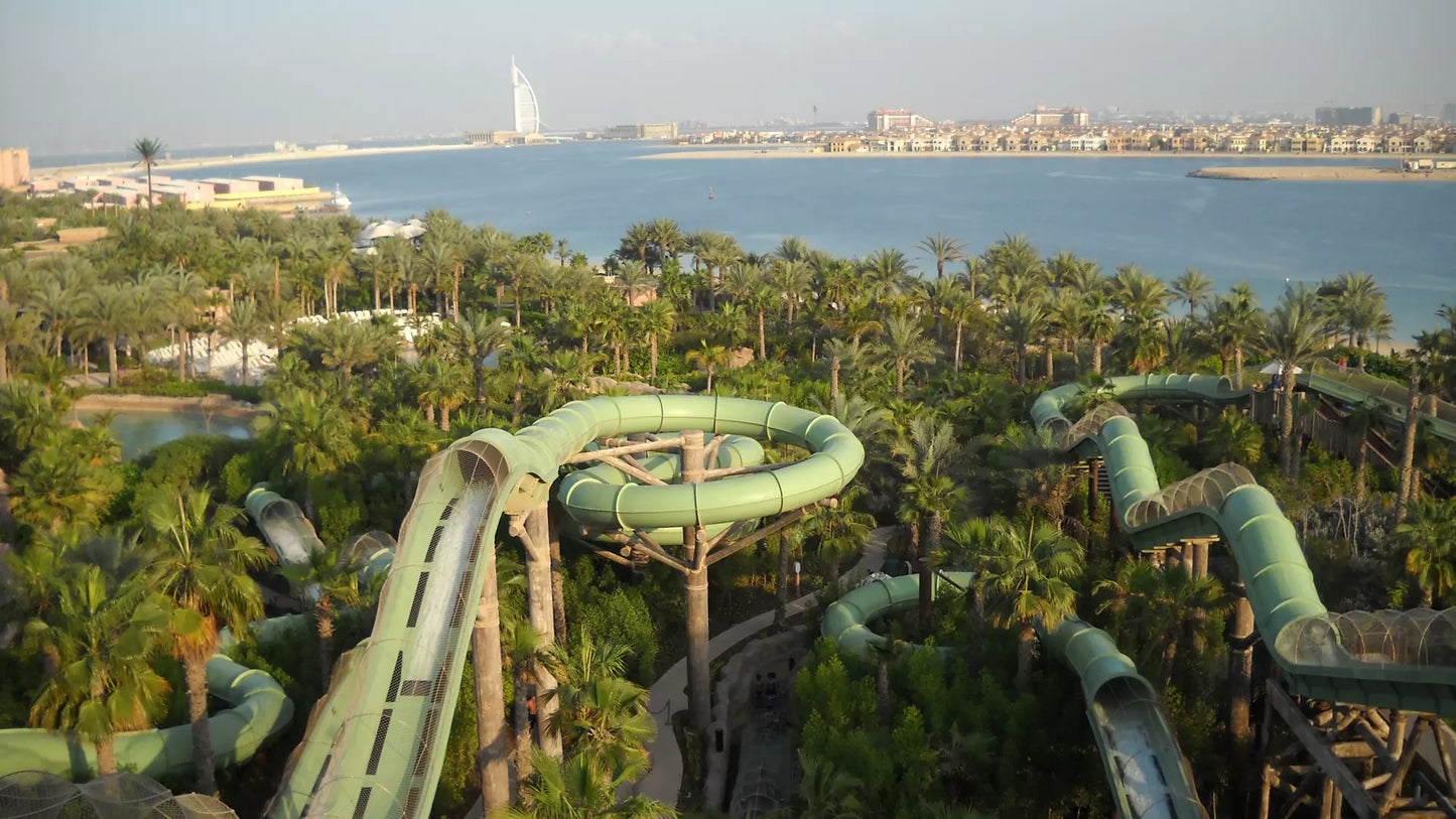 Water slides in a tropical setting with palm trees and a city skyline in the background.