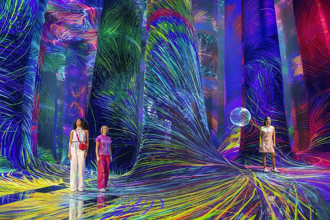 TeamLab Phenomena Abu Dhabi: Where Art, Science, and Nature Converge