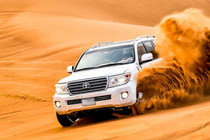 Desert Safari in Abu Dhabi
