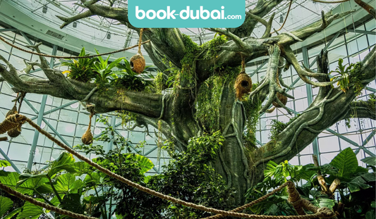 The Green Planet Dubai – Full Day Entry Ticket