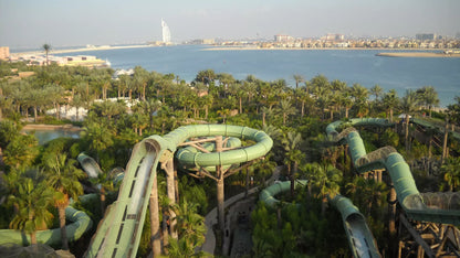 Water slides in a tropical setting with palm trees and a city skyline in the background.