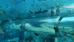 Ultimate Family Adventure: LEGOLAND® Dubai Theme Park & Aquaventure Waterpark Combo