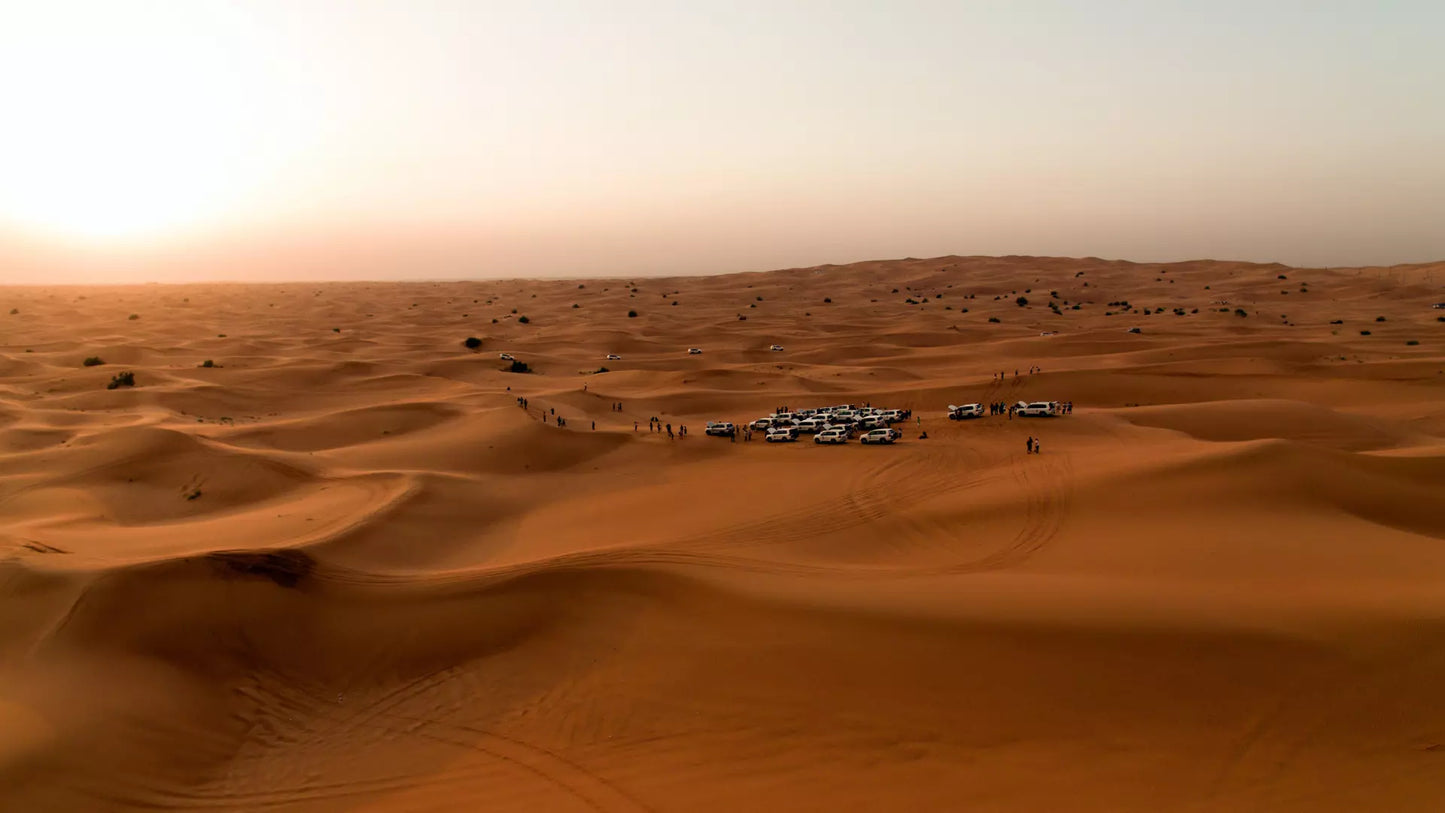 Desert Safari in Dubai + Dinner | Sandboarding | Camel Riding