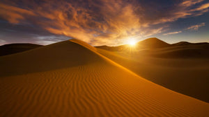 Desert Safari in Dubai + Red Sands Camp