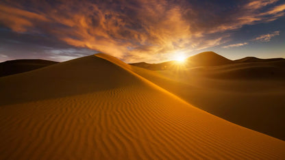 Desert Safari in Dubai + Dinner | Sandboarding | Camel Riding