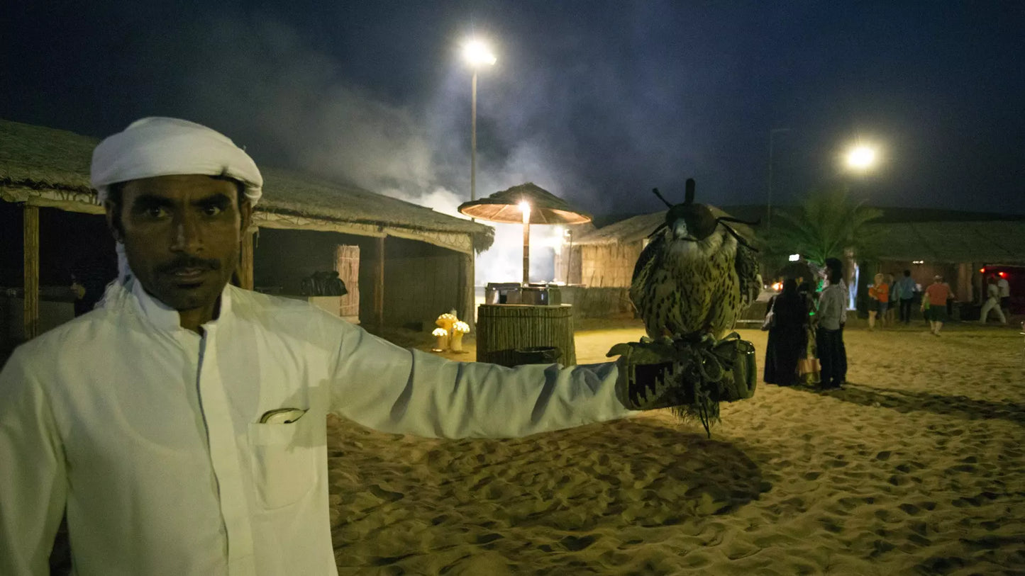 Desert Safari in Dubai + Dinner | Sandboarding | Camel Riding