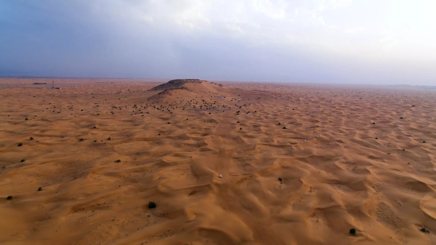 Desert Safari in Dubai + Dinner | Sandboarding | Camel Riding