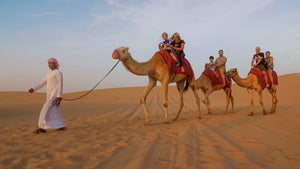 Desert Safari in Abu Dhabi