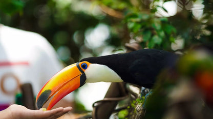 The Green Planet Dubai – Full Day Entry Ticket