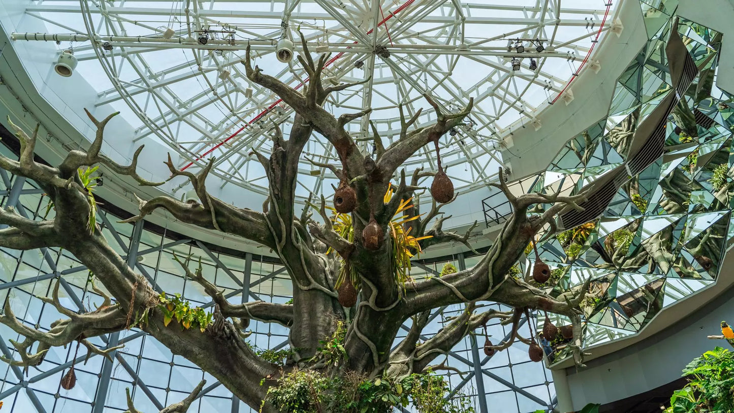 The Green Planet Dubai – Full Day Entry Ticket