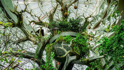 The Green Planet Dubai – Full Day Entry Ticket