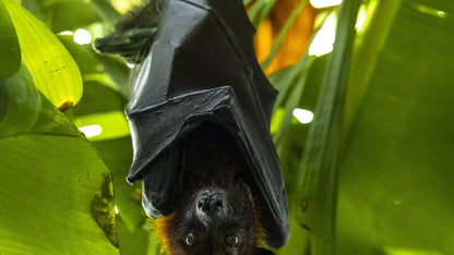 The Green Planet Dubai – Full Day Entry Ticket