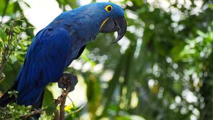 The Green Planet Dubai – Full Day Entry Ticket