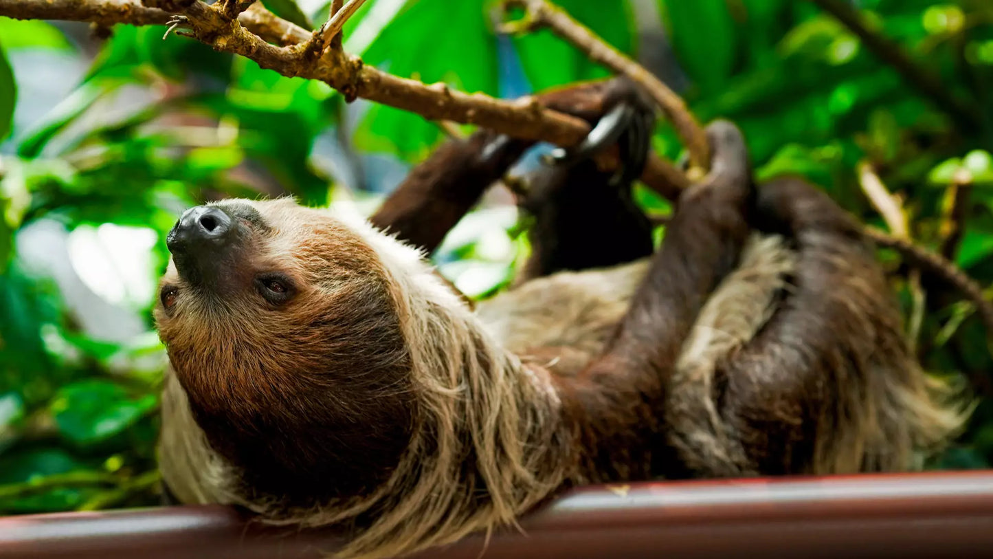 The Green Planet Dubai – Full Day Entry Ticket