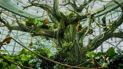 The Green Planet Dubai – Full Day Entry Ticket