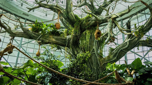 The Green Planet Dubai – Full Day Entry Ticket