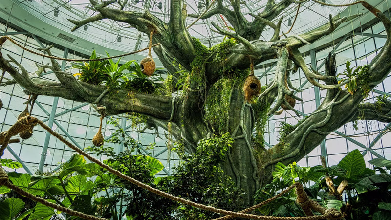 The Green Planet Dubai – Full Day Entry Ticket