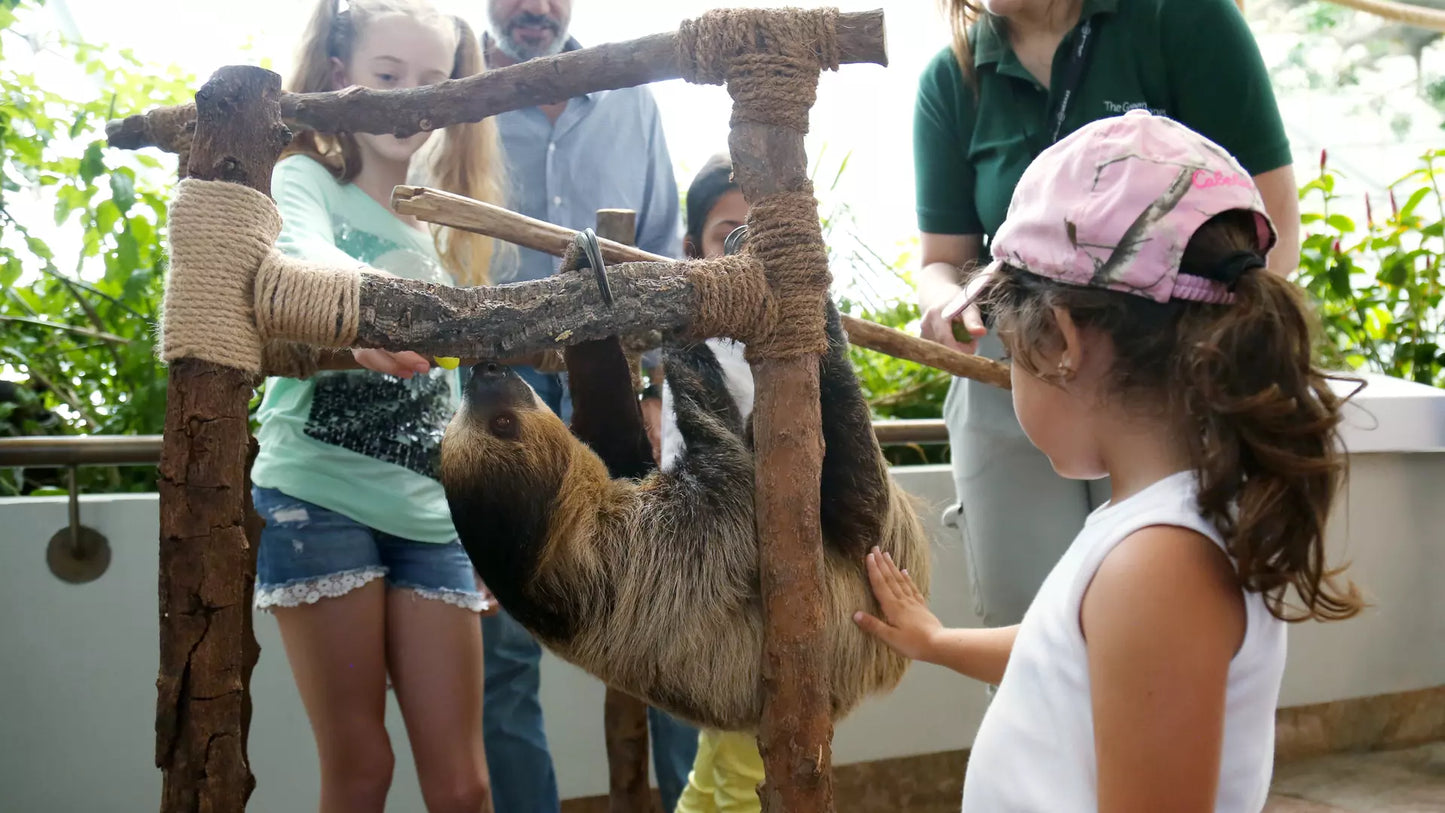 The Green Planet Dubai – Full Day Entry Ticket