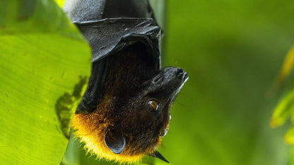 The Green Planet Dubai – Full Day Entry Ticket