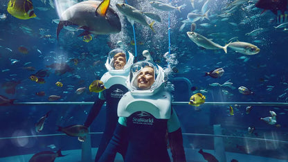 SeaWorld Abu Dhabi – Yas Island Tickets