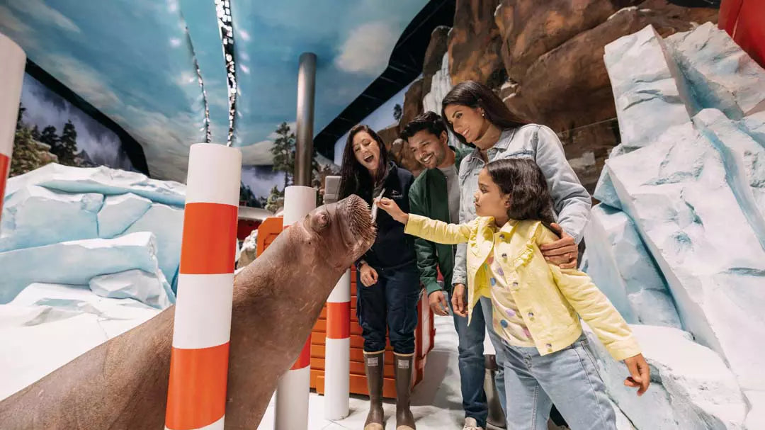 SeaWorld Abu Dhabi – Yas Island Tickets