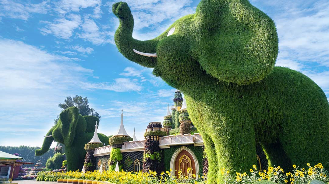 DUBAI MIRACLE & GARDEN TICKETS