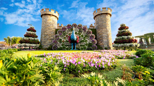 DUBAI MIRACLE & GARDEN TICKETS