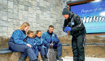 Ski Dubai Snow Classic (Snow Park Access)