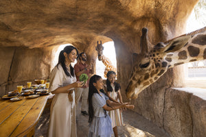 Emirates Park Zoo Abu Dhabi - Explorer Pass
