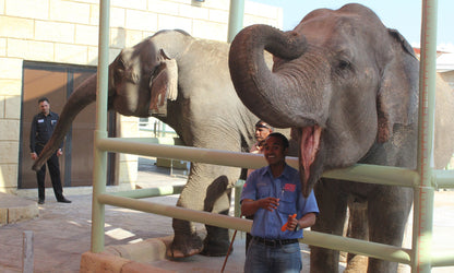 Emirates Park Zoo Abu Dhabi - Explorer Pass