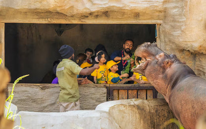 Emirates Park Zoo Abu Dhabi - Explorer Pass