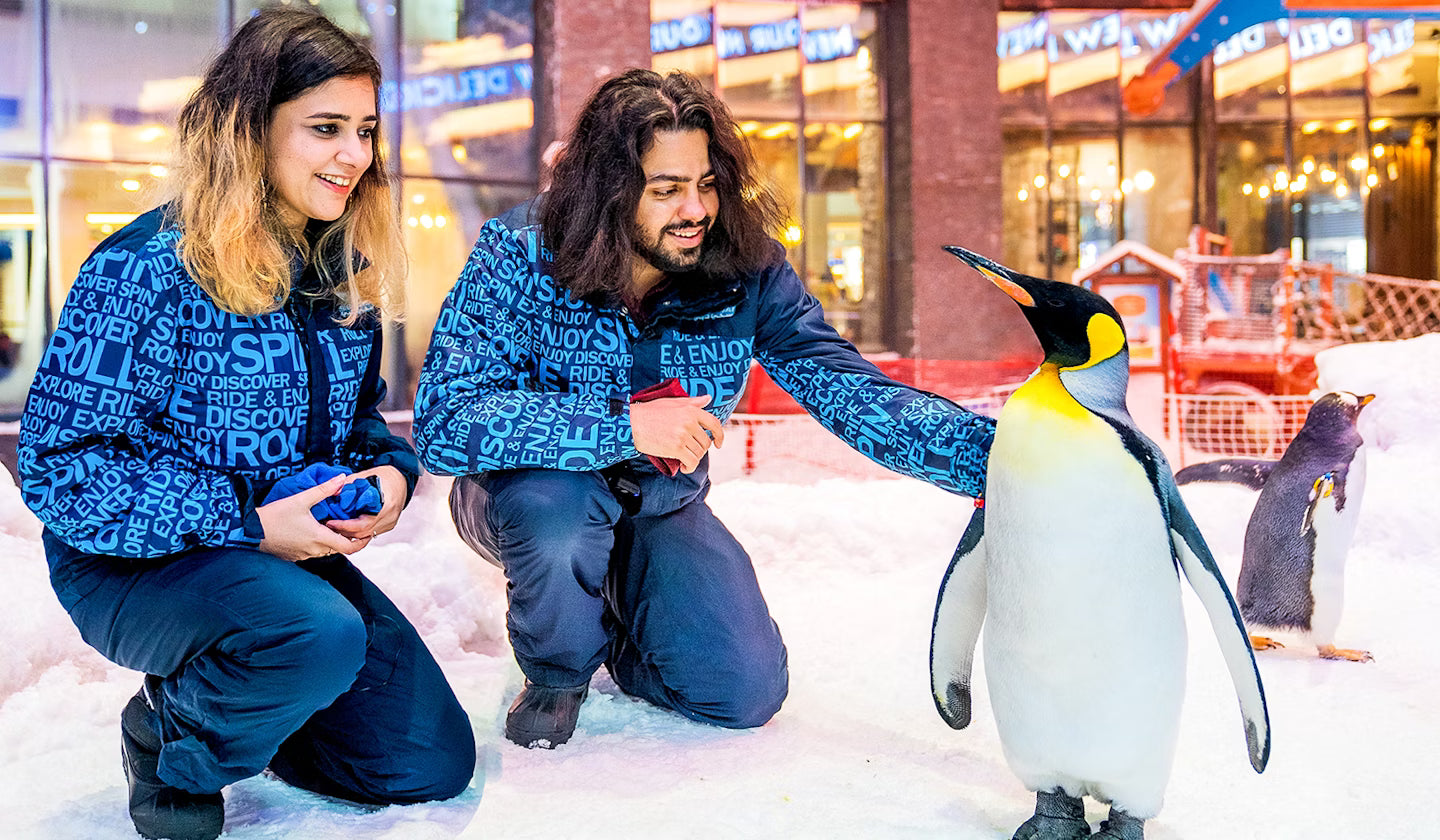 Ski Dubai Snow Classic (Snow Park Access)