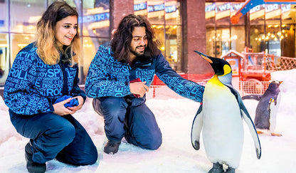 Ski Dubai Snow Classic (Snow Park Access)