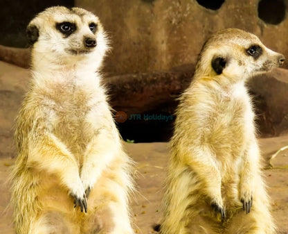 Emirates Park Zoo Abu Dhabi - Explorer Pass