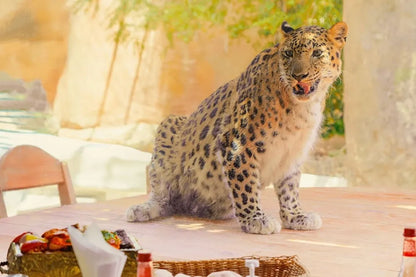 Emirates Park Zoo Abu Dhabi - Explorer Pass